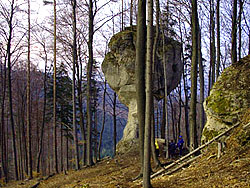 Stratený budzogáň